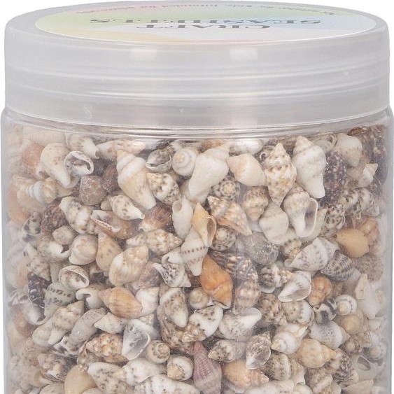 1 können winzige Muscheln nicht poröser natürlicher Spiral Muscheln für DIY -Fischtank Landschaftsgestaltung Driftflaschendekoration