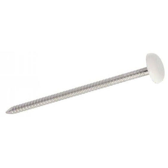 100 Pointes Annelées Tête Bombée Plastifiée Blanche 2.1 x 30 mm - Inox A4 - D-Work
