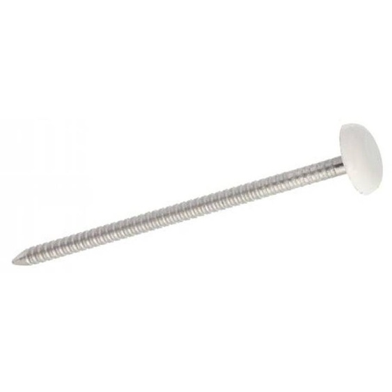 100 Pointes Annelées Tête Bombée Plastifiée Blanche 2.5 x 50 mm - Inox A4 - D-Work