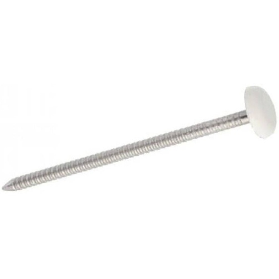 100 Pointes Annelées Tête Bombée Plastifiée Blanche 3.2 x 65 mm - Inox A4 - D-Work
