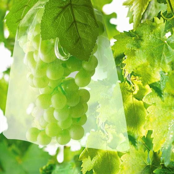 Largeight - 100 Sac Protection Fruits Sacs Filets Protection des Grappes de Raisins Contre Les Oiseaux et Insectes Guêpes Frelons 30 x 20 cm