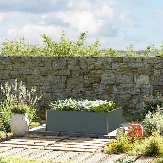 119 x 99  x 39 cm Carré potager surélevé, anthracite - (GFPV00497)