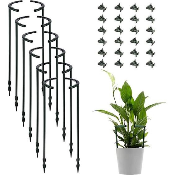 12 pièces Support de plantes, 24 clips pour petites plantes grimpantes Anneau de support de plantes de jardin (noir)