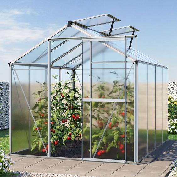 192 x 256 cm Serre de jardin, 6 mm panneaux double paroi - (GFPV00728)