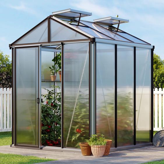 199 x 199 cm Serre de jardin, aluminium, incl. kit daccessoires Pro 2 - (GFPV00131)