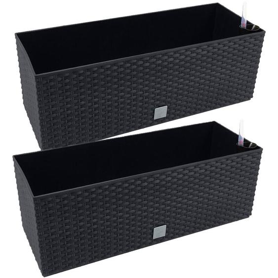 Wellhome - 2 unités de jardinière rectangulaire 17 litres avec arrosage automatique couleur anthracite 52 x 20 x 20 x 19 cm