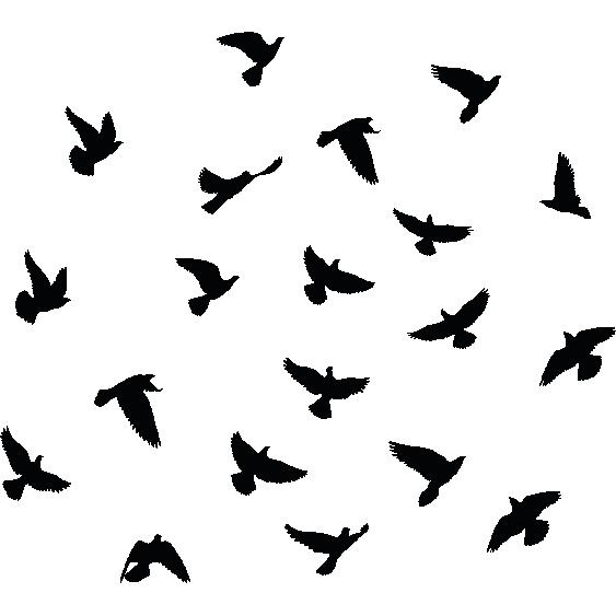 20 stickers oiseaux anti-collision