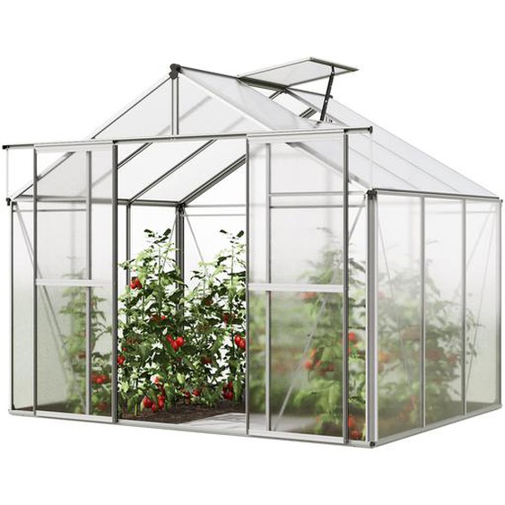 256 x 192 cm Serre de jardin, 6 mm panneaux double paroi - (GFPV00737)