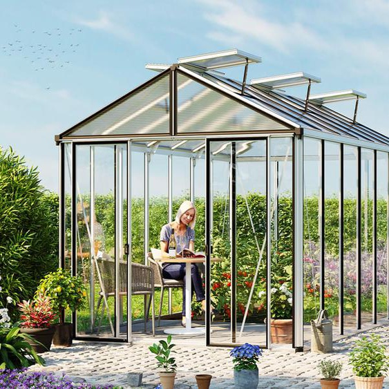 263 x 450 cm Serre de jardin, revêtement par poudre anthracite, RAL 7016, kit daccessoires Pro 2 - (GFPV00713)