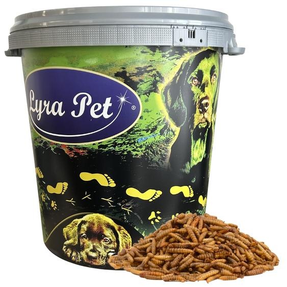 5 kg de larves de mouches soldats Lyra Pet® dans un récipient de 30 L
