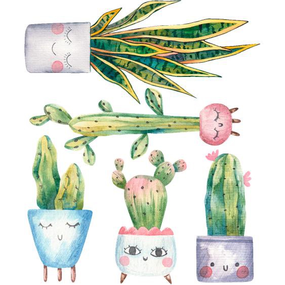 5 stickers plantes cactus et sansevieria