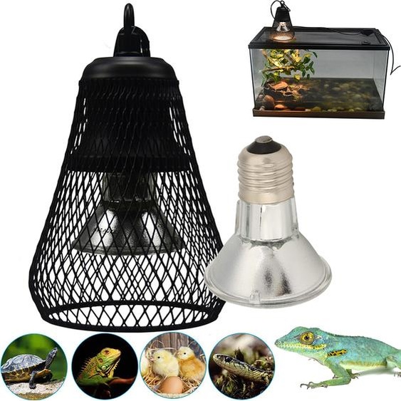 50W UVA UVB Reptile Pet Terrarium Brooder Lampe de chauffage pour lézard Snake Tortue avec abat-jour