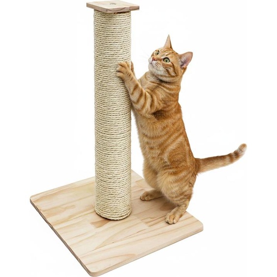62cm Sisal Colonne griffoir pour chats avec plaque de base en bambou - Petit arbre à chat stable