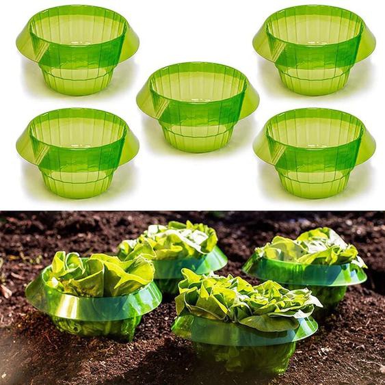Odipie - 6pcs protection limaces légumes couvre plante escargot collier garde jardin