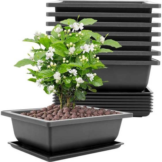 8 grands bonsaïs 23 x 17 x 8 cm avec soucoupes, pots à bonsaïs en plastique adaptés aux jardins, cours, bureaux, salons, balcons (noir)
