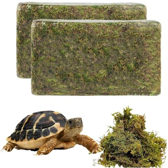 800 g de mousse naturelle pour terrarium