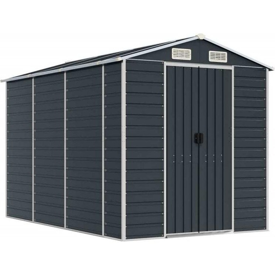 Abri de jardin multifonctionnel, rangement extérieur, acier galvanisé robuste, 4 bouches daération, toit en pente, 191x300x198 cm, anthracite