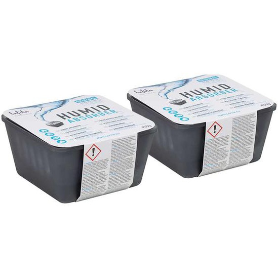 Lafita Absorbeurs dhumidité avec sacs de recharge 2 pcs 450 g