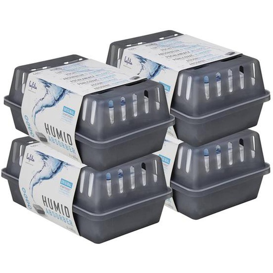 Lafita Absorbeurs dhumidité avec sacs de recharge 4 pcs 900 g