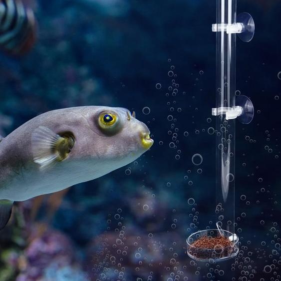 Acrylique Transparent Durable Aquarium Poisson Crevette Nourrisseur Réservoir Tube dalimentation avec plateau (25 cm)