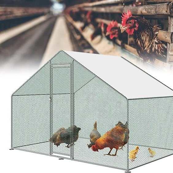 ACXIN Poulailler 3 x 2 x 2m Enclos Porte du poulailler avec serrure Poulailler Cadre en acier galvanisé Toit dombre en PE revêtu pour cage à poules