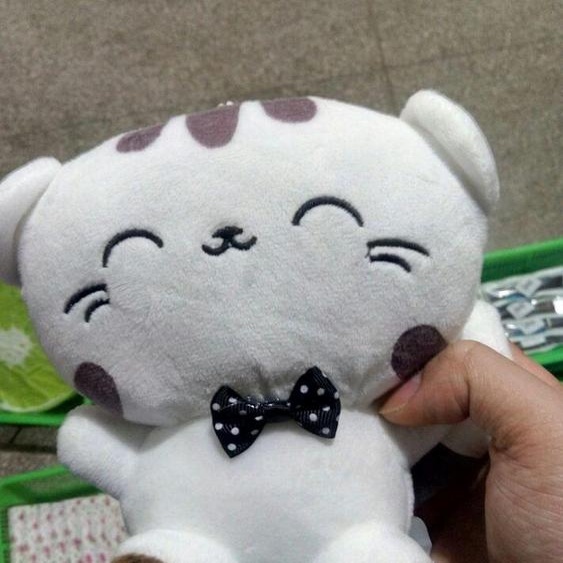 Adorable poupée de chat, 20 cm, grand visage, peluche, peluche douce, coussin, coussin de canapé pour enfants