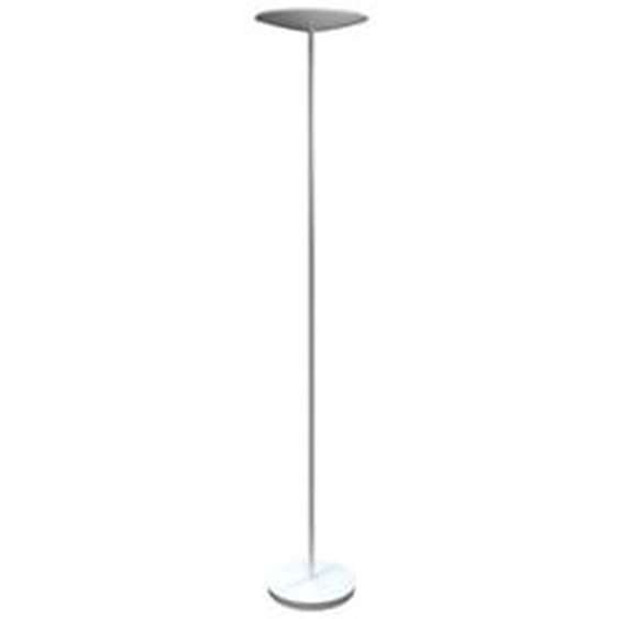 Alba Lampadaire LED Slim BC - LED intégrée - 30 W - Variateur dintensité - Acier - Blanc