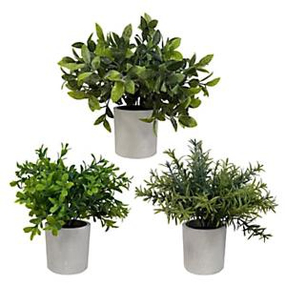 Alba Plantes feuillage vert - Arbustes artificiels en pot pour décoration intérieur - Hauteur 20 cm - Lot de 3