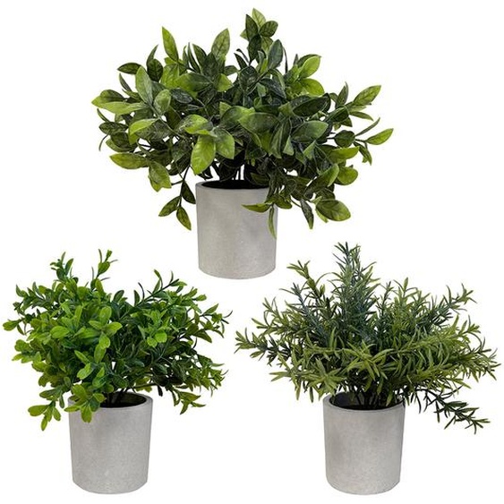 Alba Plantes feuillage vert - Arbustes artificiels en pot pour décoration intérieur - Hauteur 20 cm - Lot de 3
