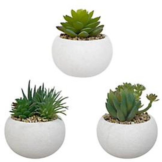 Alba Plantes Succulentes - Plantes grasses artificielles en pot pour décoration intérieur - Lot de 3