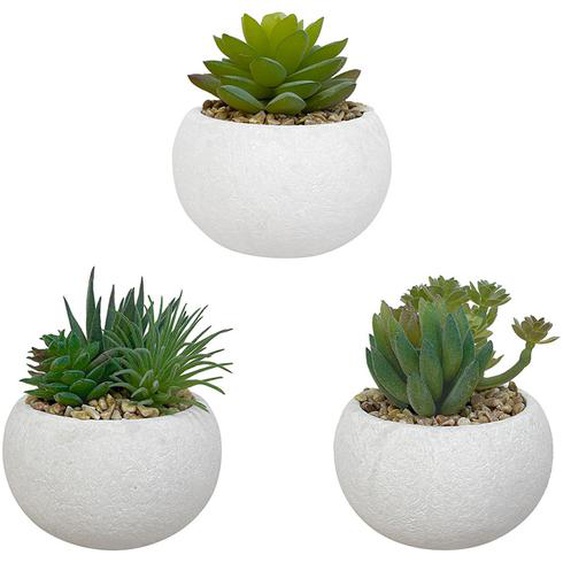 Alba Plantes Succulentes - Plantes grasses artificielles en pot pour décoration intérieur - Lot de 3