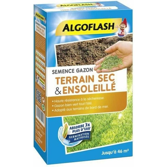 ALGOFLASH Seeds Gazon sec et ensoleillé - 1 Kg