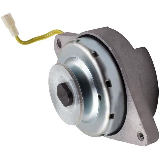 Alternateur Générateur Dynamo for Yanmar 124190-77201 Kokusan Komatsu 20 a