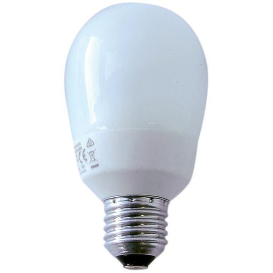 Ampoule fluocompacte Energie Saver 15W E27