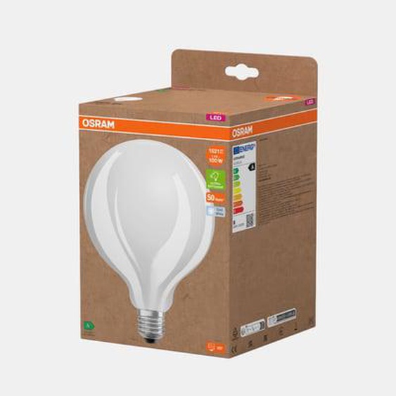 Ampoule LED globe verre dépoli - 100W - E27 blanc froid - 125 mm