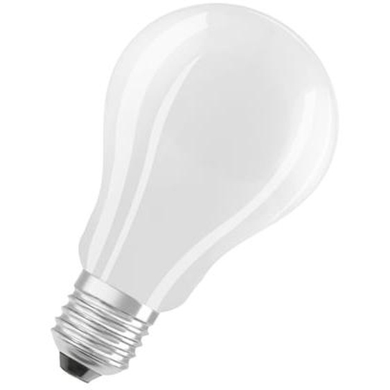 Ampoule standard verre dépoli E27 15W
