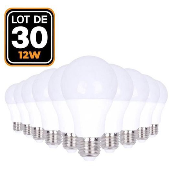 Ampoules LED E27 - EUROPALAMP - 12W - 6000K - Lot de 30 - Haute Luminosité