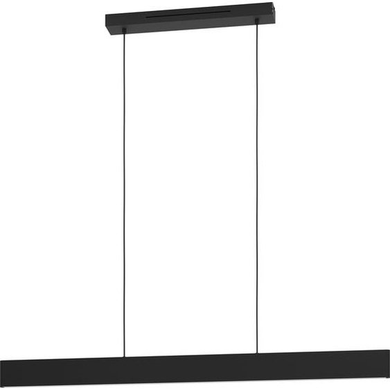 ANDREAS-Z Suspension Lampe à suspendre Lampe à suspendre - L117 x l7 x H110 cm - noir - 2X19W incl. - IP20