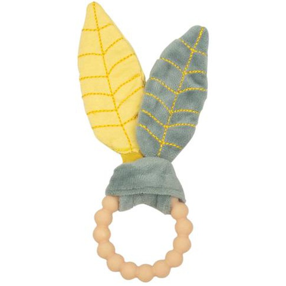 Anneau De Dentition A Attraper Vert