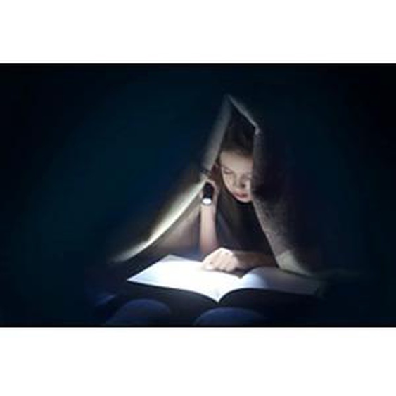 ANSMANN Lampe de poche LED, Daily Use 150B, argent/noir