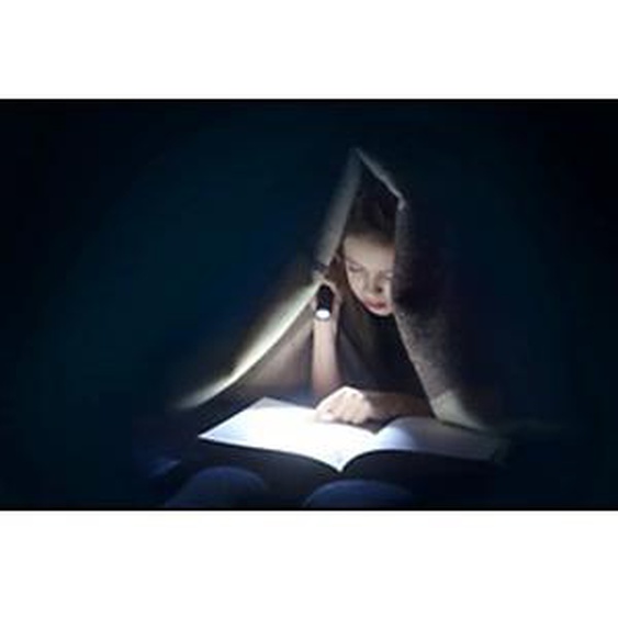 ANSMANN Lampe de poche LED, Daily Use 300B, argent/noir
