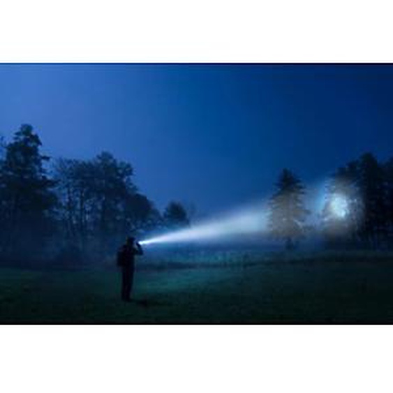 ANSMANN Lampe de poche LED M900P, couleur: noir