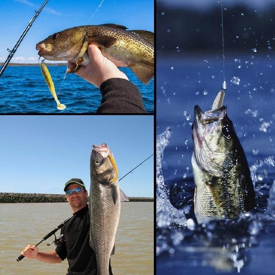 Appâts artificiels en forme de poisson, souples, boîte de 20, pour la pêche