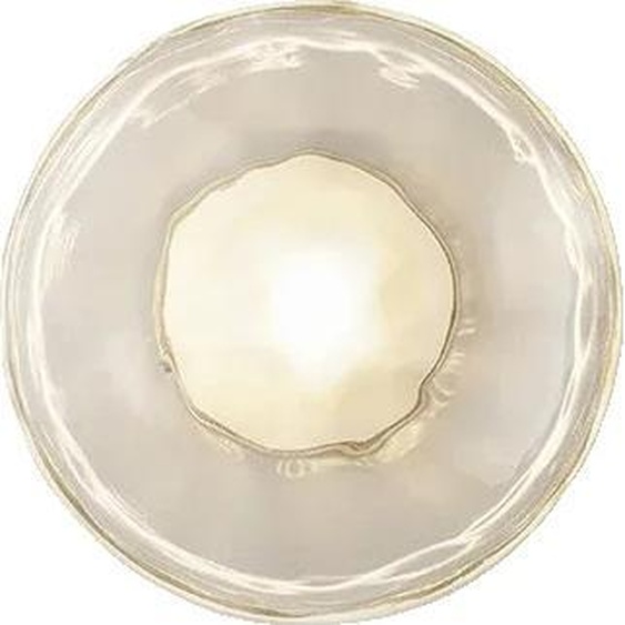 Applique murale, design moderne, abat-jour en verre clair, verre A-clair, lumière blanche 5000K