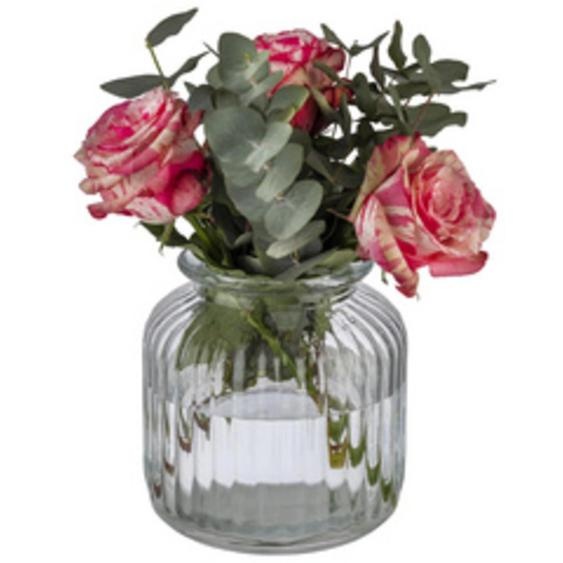 APS Bocal COOKIEGO, 3,7 litres