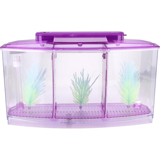 Aquarium, LED, acrylique, en trois parties, boîte dincubation & disolation pour petits poissons (violet)