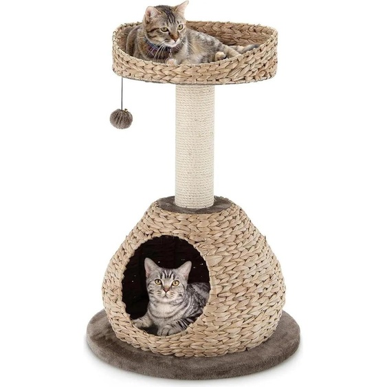 Arbre à chat - 72 cm de hauteur - 2 étages - Troncs en sisal - Coussins moelleux - Balle suspendue - Pour chats et chatons - Marron/beige