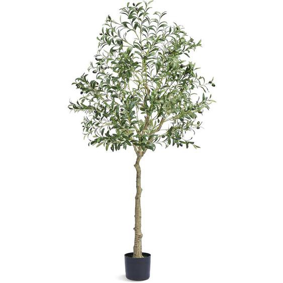 Arbre Artificiel 179 cm Plante Artificielle pe Haut Olivier Faux Arbre Vert avec Pot 170x145 mm Decoration de Style Fausse Plante pour Maison Bureau