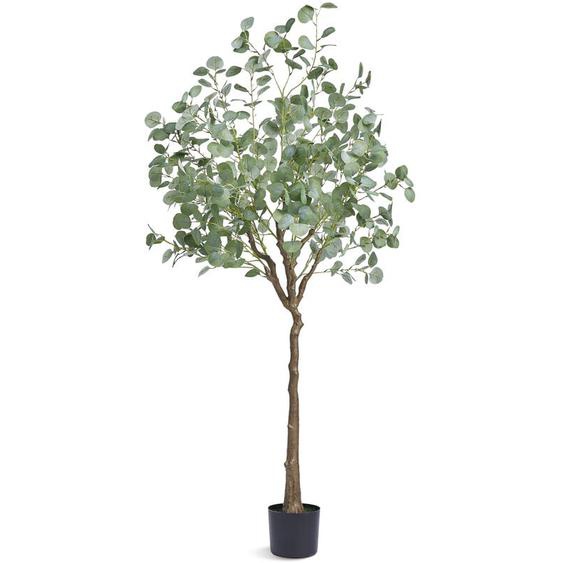 Mophorn - Arbre Eucalyptus Artificiel 1.8m de haut Faux Plante Materiau pe Anti-Tip Tilt Protection Low-Maintenance Lifelike Green Fake Potted Tree