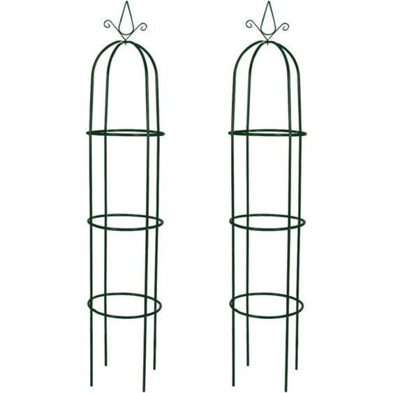 Arche de jardin en forme de tour 2 pcs vidaXL